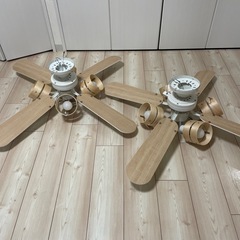 シーリングファンライト　ロウヤ　の画像