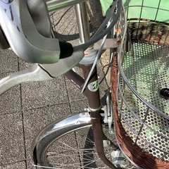 カジュナ・ベルト・三段変速・２７・ショコラ！の画像