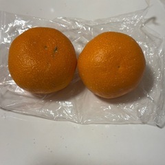 みかん　2個セット　静岡県産の画像