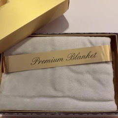 新品未開封 ブランケット 折り畳み傘 傘カバースヌーピーの画像