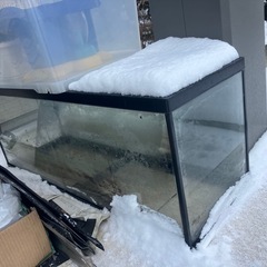 ワイド900 90センチ水槽アクアリウム　　熱帯魚　魚の画像