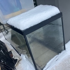 ワイド900 90センチ水槽アクアリウム　　熱帯魚　魚の画像