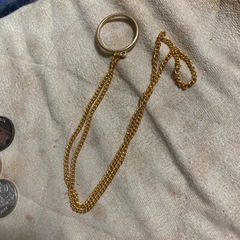 アクア・トト・岐阜（メダル）の画像