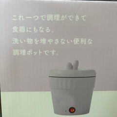 【新品・未使用品】即席麺ポットの画像