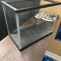 小型ガラス水槽　（約30cm）の画像
