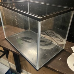 小型ガラス水槽（40cm）の画像