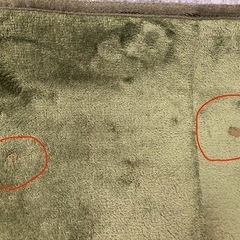 200×250cm ラグカーペット グリーン（洗える＆ホットカーペット対応 ）の画像