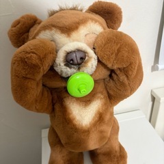 こぐまのカビー
の画像