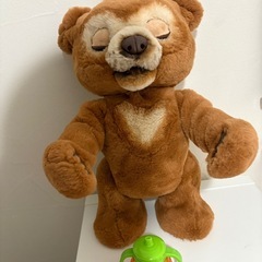 こぐまのカビー
の画像