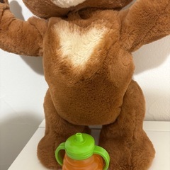 こぐまのカビー
の画像