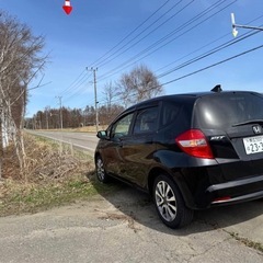 2011ホンダフィットの画像