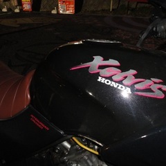 HONDA Xelvis ホンダ ゼルビスの画像