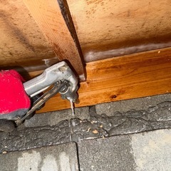 シロアリ駆除　ネズミ駆除　害虫駆除　蜂駆除　コウモリ対策　リフォーム