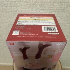 ☆新品☆ 公女殿下の家庭教師 リディヤ・リンスター フィギュアの画像