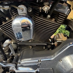 ハーレーダビットソンロードキング三拍子エボリューションエンジン希少の画像