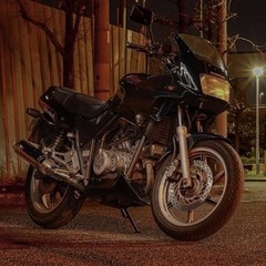 HONDA Xelvis ホンダ ゼルビスの画像