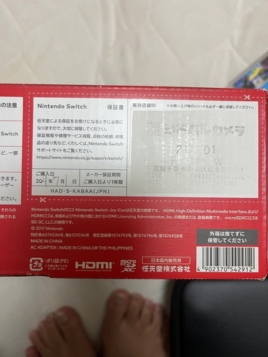 switch×スマブラ、ポケモンバイオレット