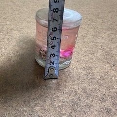 イルカ　キャンドル　ドルフィン　水族館　海　インテリア　置物の画像