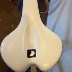 ルイガノ セッター8の画像