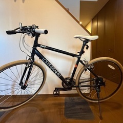 ルイガノ セッター8の画像