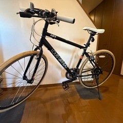 ルイガノ セッター8の画像