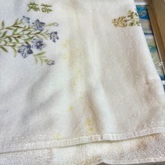 バスタオル①の画像