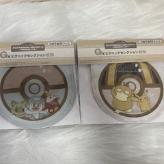 2023 Pokémon Collection くじ G賞 ピクニックセレクション プレート 2枚セットの画像