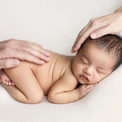 🕊 ニューボーンフォト モニター様募集 🕊