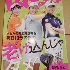 ゴルフボール16個　希望者には2枚目以降の商品もお付けできます。　他の有料商品とまとめて取引の場合は、優先的に取引可能　渋谷駅と横浜線の駅で取引可能の画像