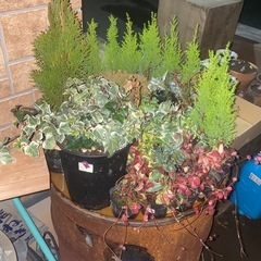 一緒にDIYや園芸ができる人募集