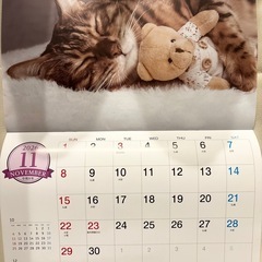 2026年カレンダー　猫の画像