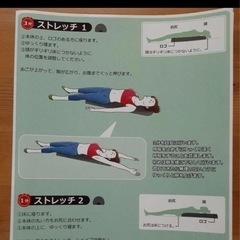 ピュアフィットリストレットボディの画像