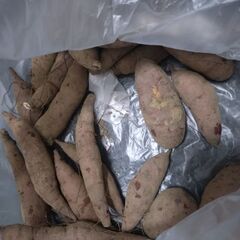 さつまいもの画像