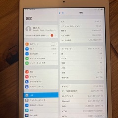 iPad mini3の画像