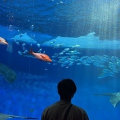 恋人、パートナーのいる方と話したい！