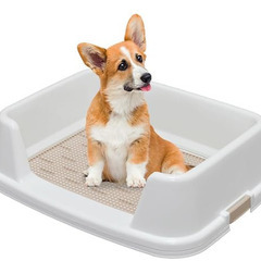 【アイリスオーヤマ】キャリーバッグ & ワイド壁付きトレーニング犬トイレの画像