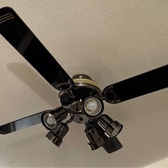 シーリングファン シーリングライトの画像