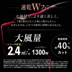 KOIZUMI ダブルファンドライヤー モンスター 赤の画像