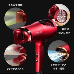 KOIZUMI ダブルファンドライヤー モンスター 赤の画像