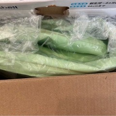 　Richell リッチェル　ベビーバス　コンビ　ネイルケア　ベビー用品の画像