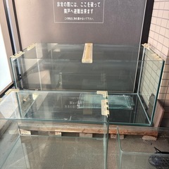 アクアリウム水槽
の画像
