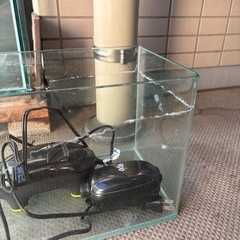 アクアリウム水槽
の画像