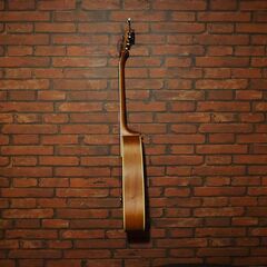 ★Ashton（アシュトン・オーストラリア） ミニアコースティックギターの画像