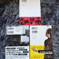 GACKTてんちむローランド3冊セットの画像