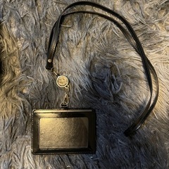 ラファエロ　名刺ケースの画像