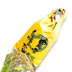 73大人気茨城県産コシヒカリ令和7年度産コシヒカリ10キロ入り大人気お得パック の画像