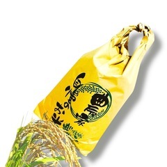 73大人気茨城県産コシヒカリ令和7年度産コシヒカリ10キロ入り大人気お得パック の画像