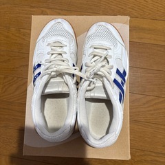 学校指定　上履き　ブルーラインの画像