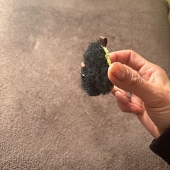 パンチニードル　プードル黒小①の画像