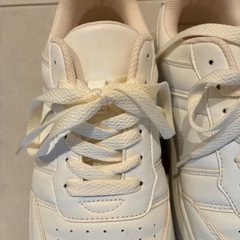 レディース　スニーカーの画像